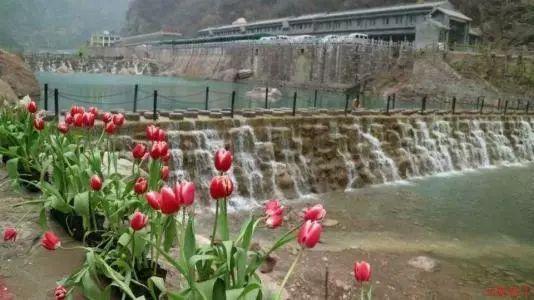 请问数学大神第3题第2个空怎么做？
